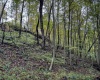 TBD Levels Road, Fairmont, West Virginia 26554, ,Lots/land,For Sale,Levels,10161794