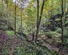TBD Levels Road, Fairmont, West Virginia 26554, ,Lots/land,For Sale,Levels,10161794