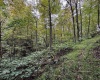 TBD Levels Road, Fairmont, West Virginia 26554, ,Lots/land,For Sale,Levels,10161794