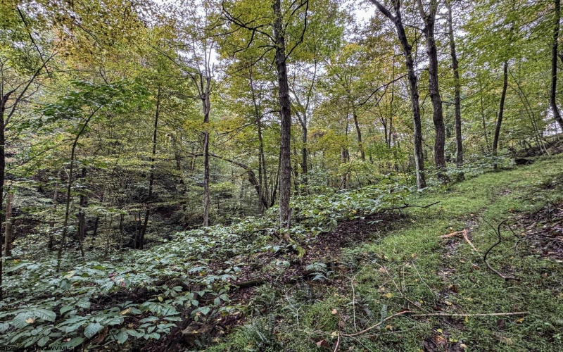 TBD Levels Road, Fairmont, West Virginia 26554, ,Lots/land,For Sale,Levels,10161794
