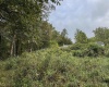 TBD Levels Road, Fairmont, West Virginia 26554, ,Lots/land,For Sale,Levels,10161794