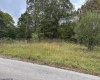 TBD Levels Road, Fairmont, West Virginia 26554, ,Lots/land,For Sale,Levels,10161794