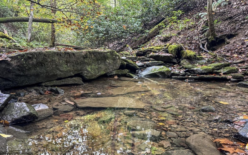 TBD Levels Road, Fairmont, West Virginia 26554, ,Lots/land,For Sale,Levels,10161794