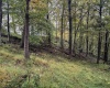 TBD Levels Road, Fairmont, West Virginia 26554, ,Lots/land,For Sale,Levels,10161794