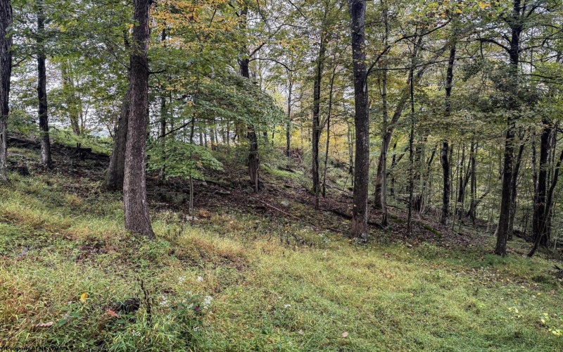TBD Levels Road, Fairmont, West Virginia 26554, ,Lots/land,For Sale,Levels,10161794