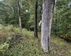 TBD Levels Road, Fairmont, West Virginia 26554, ,Lots/land,For Sale,Levels,10161794