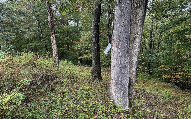 TBD Levels Road, Fairmont, West Virginia 26554, ,Lots/land,For Sale,Levels,10161794