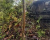 TBD Levels Road, Fairmont, West Virginia 26554, ,Lots/land,For Sale,Levels,10161794