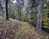 TBD Levels Road, Fairmont, West Virginia 26554, ,Lots/land,For Sale,Levels,10161794
