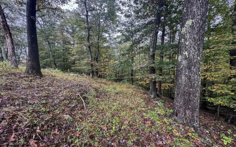 TBD Levels Road, Fairmont, West Virginia 26554, ,Lots/land,For Sale,Levels,10161794