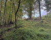 TBD Levels Road, Fairmont, West Virginia 26554, ,Lots/land,For Sale,Levels,10161794