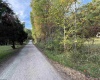 88 Sandy Bottom Road, Kingwood, West Virginia 26537, ,Lots/land,For Sale,Sandy Bottom,10161803