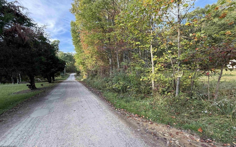 88 Sandy Bottom Road, Kingwood, West Virginia 26537, ,Lots/land,For Sale,Sandy Bottom,10161803