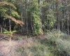 88 Sandy Bottom Road, Kingwood, West Virginia 26537, ,Lots/land,For Sale,Sandy Bottom,10161803