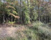 88 Sandy Bottom Road, Kingwood, West Virginia 26537, ,Lots/land,For Sale,Sandy Bottom,10161803