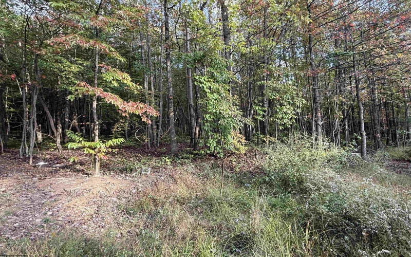 88 Sandy Bottom Road, Kingwood, West Virginia 26537, ,Lots/land,For Sale,Sandy Bottom,10161803