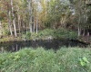 88 Sandy Bottom Road, Kingwood, West Virginia 26537, ,Lots/land,For Sale,Sandy Bottom,10161803