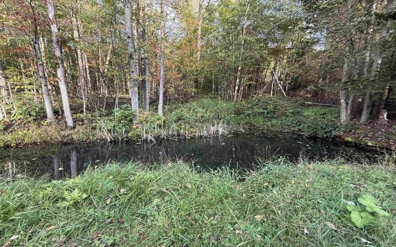 88 Sandy Bottom Road, Kingwood, West Virginia 26537, ,Lots/land,For Sale,Sandy Bottom,10161803