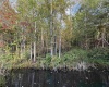 88 Sandy Bottom Road, Kingwood, West Virginia 26537, ,Lots/land,For Sale,Sandy Bottom,10161803