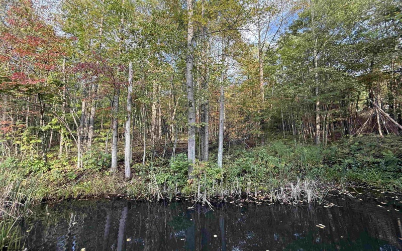 88 Sandy Bottom Road, Kingwood, West Virginia 26537, ,Lots/land,For Sale,Sandy Bottom,10161803