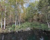 88 Sandy Bottom Road, Kingwood, West Virginia 26537, ,Lots/land,For Sale,Sandy Bottom,10161803