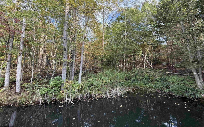 88 Sandy Bottom Road, Kingwood, West Virginia 26537, ,Lots/land,For Sale,Sandy Bottom,10161803