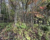 88 Sandy Bottom Road, Kingwood, West Virginia 26537, ,Lots/land,For Sale,Sandy Bottom,10161803