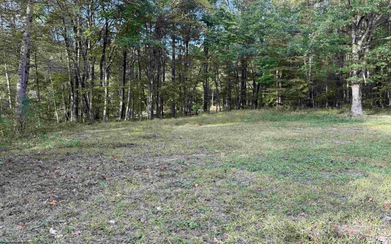 88 Sandy Bottom Road, Kingwood, West Virginia 26537, ,Lots/land,For Sale,Sandy Bottom,10161803