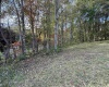 88 Sandy Bottom Road, Kingwood, West Virginia 26537, ,Lots/land,For Sale,Sandy Bottom,10161803
