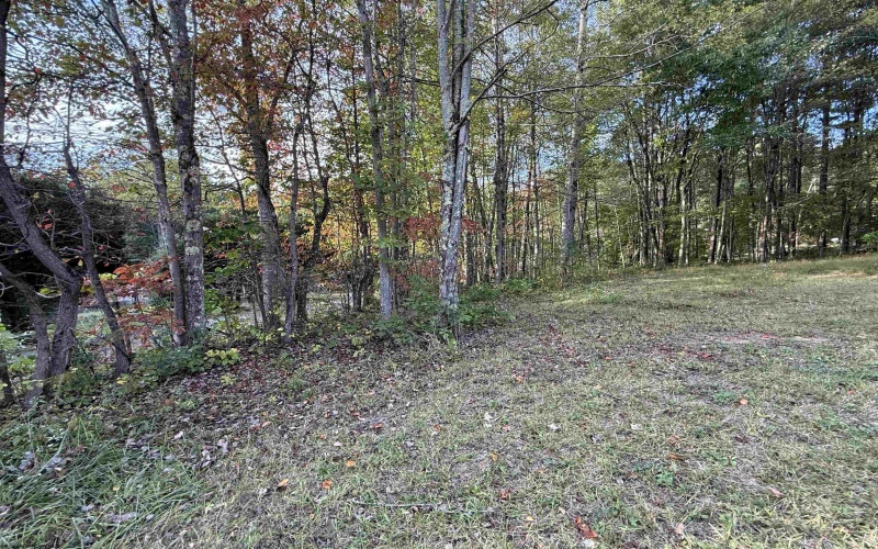 88 Sandy Bottom Road, Kingwood, West Virginia 26537, ,Lots/land,For Sale,Sandy Bottom,10161803