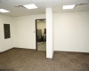 300 Wedgewood Drive, Morgantown, West Virginia 26505, ,Commercial/industrial,For Lease,Wedgewood,10161830