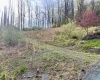 TBD Falling Water Lane, Morgantown, West Virginia 26508, ,Lots/land,For Sale,Falling Water,10161832