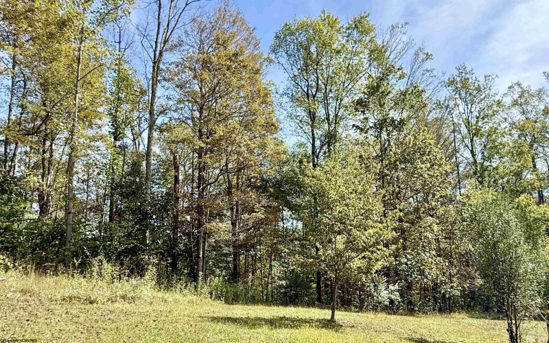 376 BOLYARD Road, Grafton, West Virginia 26354, 1 Bedroom Bedrooms, 5 Rooms Rooms,1 BathroomBathrooms,Single Family Detached,For Sale,BOLYARD,10161831