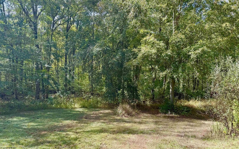 376 BOLYARD Road, Grafton, West Virginia 26354, 1 Bedroom Bedrooms, 5 Rooms Rooms,1 BathroomBathrooms,Single Family Detached,For Sale,BOLYARD,10161831