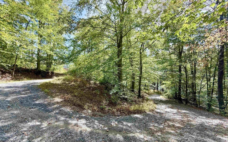 376 BOLYARD Road, Grafton, West Virginia 26354, 1 Bedroom Bedrooms, 5 Rooms Rooms,1 BathroomBathrooms,Single Family Detached,For Sale,BOLYARD,10161831