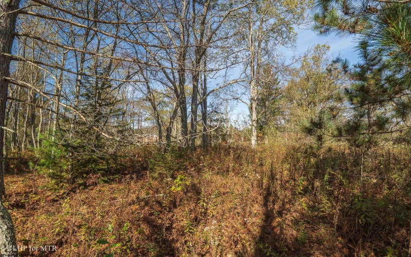 26 Cortland Road, Davis, West Virginia 26260, ,Lots/land,For Sale,Cortland,10161858 26 Cortland Road, Davis, West Virginia 26260, ,Lots/land,For Sale,Cortland,10161858