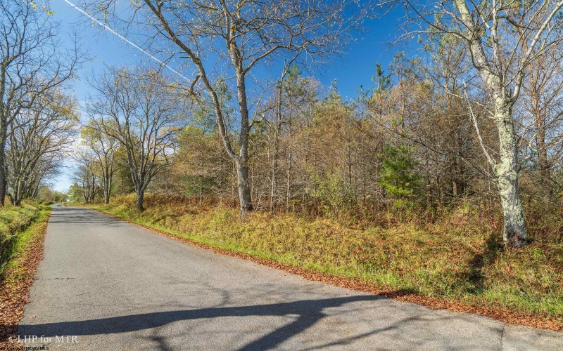 26 Cortland Road, Davis, West Virginia 26260, ,Lots/land,For Sale,Cortland,10161858 26 Cortland Road, Davis, West Virginia 26260, ,Lots/land,For Sale,Cortland,10161858