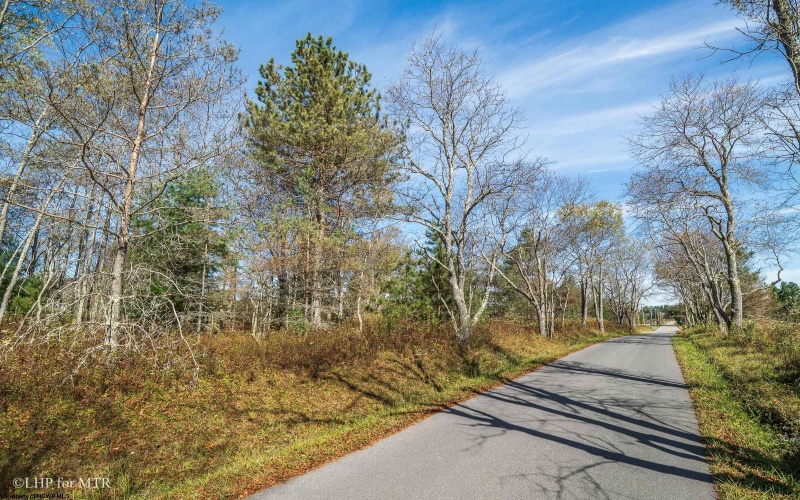 26 Cortland Road, Davis, West Virginia 26260, ,Lots/land,For Sale,Cortland,10161858 26 Cortland Road, Davis, West Virginia 26260, ,Lots/land,For Sale,Cortland,10161858