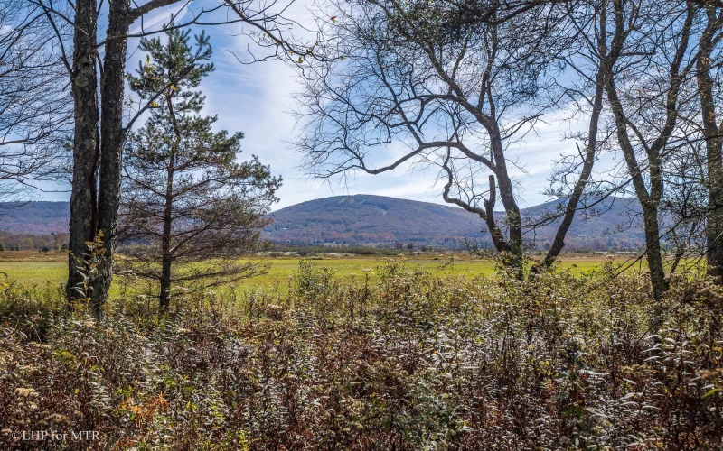 26 Cortland Road, Davis, West Virginia 26260, ,Lots/land,For Sale,Cortland,10161858 26 Cortland Road, Davis, West Virginia 26260, ,Lots/land,For Sale,Cortland,10161858