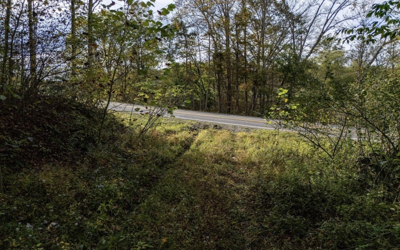 Lot 1 Morgantown Pike, Belington, West Virginia 26250, ,Lots/land,For Sale,Morgantown,10161856