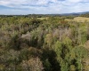 Lot 1 Morgantown Pike, Belington, West Virginia 26250, ,Lots/land,For Sale,Morgantown,10161856