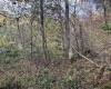 Lot 1 Morgantown Pike, Belington, West Virginia 26250, ,Lots/land,For Sale,Morgantown,10161856
