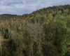 Lot 1 Morgantown Pike, Belington, West Virginia 26250, ,Lots/land,For Sale,Morgantown,10161856