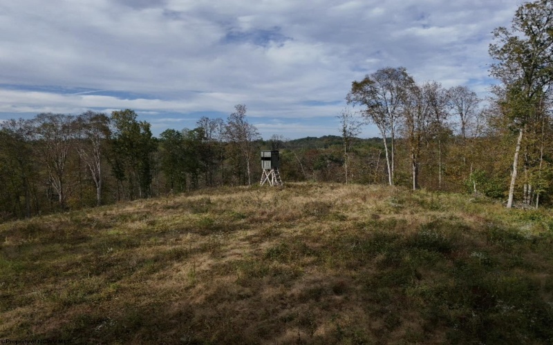 Lot 1 Morgantown Pike, Belington, West Virginia 26250, ,Lots/land,For Sale,Morgantown,10161856