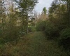Lot 1 Morgantown Pike, Belington, West Virginia 26250, ,Lots/land,For Sale,Morgantown,10161856