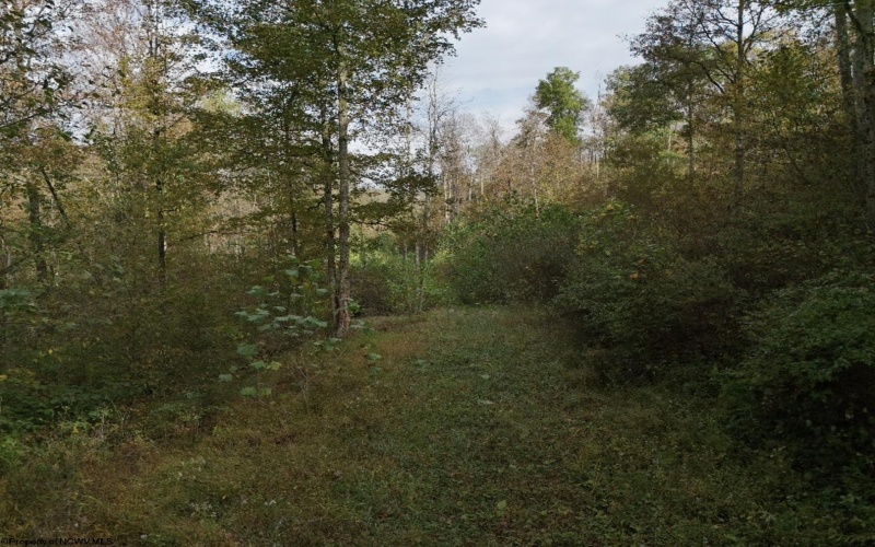 Lot 1 Morgantown Pike, Belington, West Virginia 26250, ,Lots/land,For Sale,Morgantown,10161856