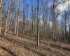 Lot 1 Morgantown Pike, Belington, West Virginia 26250, ,Lots/land,For Sale,Morgantown,10161856