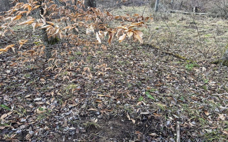 Lot 1 Morgantown Pike, Belington, West Virginia 26250, ,Lots/land,For Sale,Morgantown,10161856
