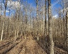 Lot 1 Morgantown Pike, Belington, West Virginia 26250, ,Lots/land,For Sale,Morgantown,10161856