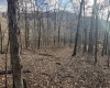 Lot 1 Morgantown Pike, Belington, West Virginia 26250, ,Lots/land,For Sale,Morgantown,10161856
